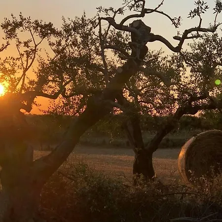 Trullo In Fabula Ad Ferienhaus Alberobello