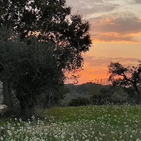 Trullo In Fabula Ad * Alberobello