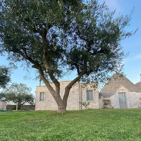 Trullo In Fabula Ad Tatil Evi Alberobello